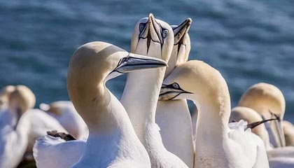 开云esport-《电竞青训营火热：培养未来的冠军之路》，电竞青训营是干什么的