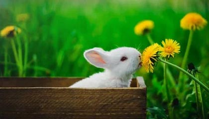 开云网址入口-【青少年训练指南】入门到精通的训练路线图，青少年训练营有用吗