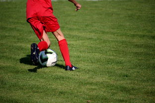 开云在线直播-国脚待遇结构调整引导更多球员留在国内发展，国家队国脚